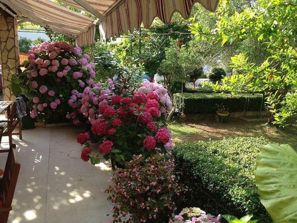 Apartmani Dora Μούρτερ Εξωτερικό φωτογραφία